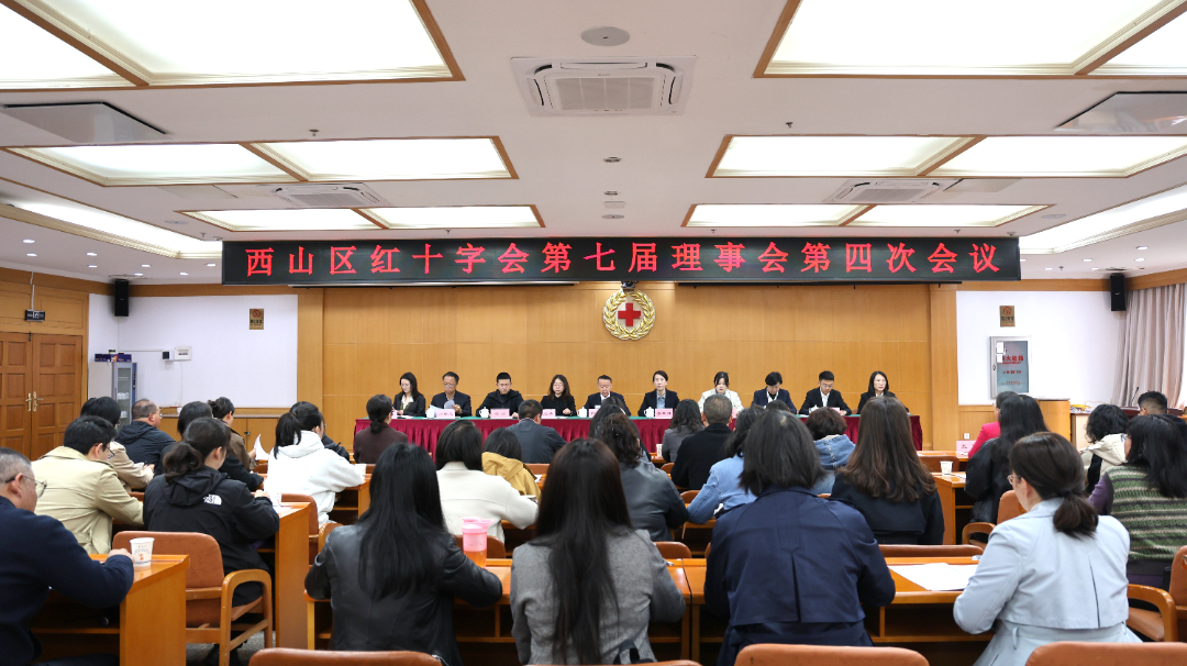 2025年6月5日十二届区委常委会第 154 次会议(陈丽) (3).JPG