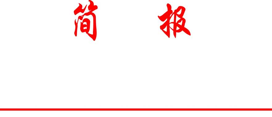 简报