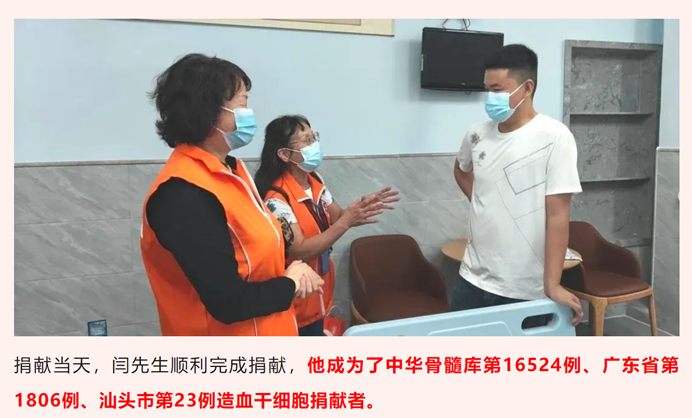 细胞6