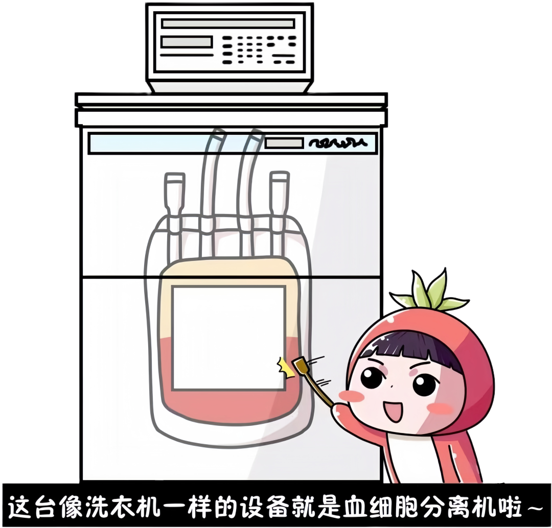 微信图片_20250919114622_268_112_副本.png 微信图片_20250919114622_268_112_副本.png