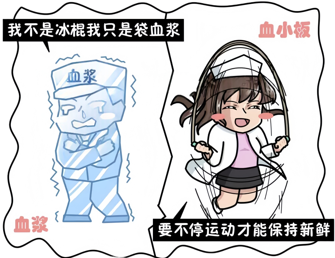 79373049057cut_img.png 79373049057cut_img.png