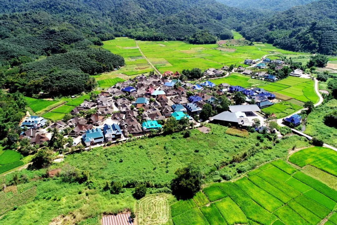 国家森林乡村——曼旦.jpg